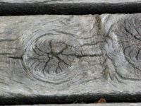 Holzsteg Bild 016